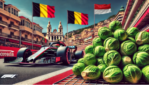 Where to invest for profit 👉️ Brussels VS Monaco